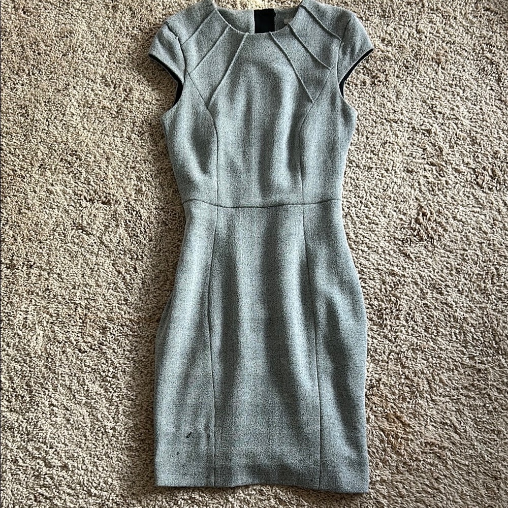 H&M Sheath Dress with Cap Raglan Sleeves